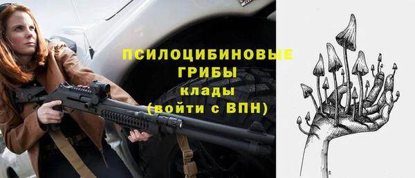 марки nbome Богданович