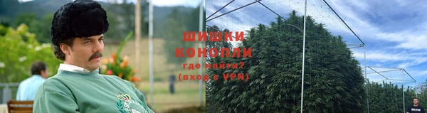 эйфоретик Богородицк
