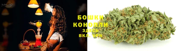 эйфоретик Богородицк
