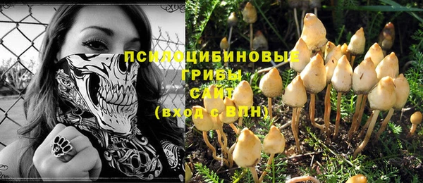 эйфоретик Богородицк