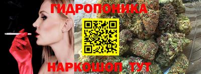 гашик Волгодонск