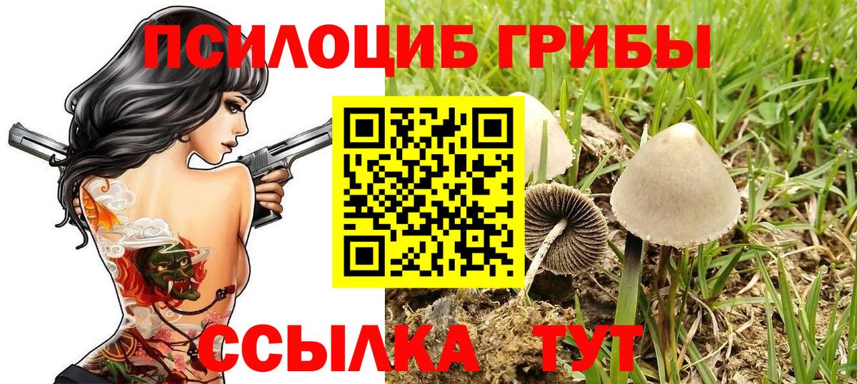 Галлюциногенные грибы Magic Shrooms Бутурлиновка